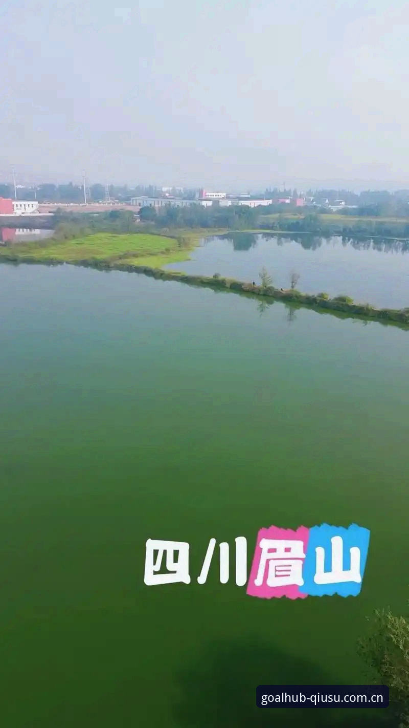 球速体育怎么样必备 从新手到老手:玩球速体育的圈子内行人才懂的必备经验与平台使用心得